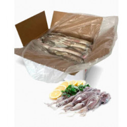 Calamar Entero  - Vima -...