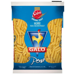 Pasta Penne (500 g) GALO