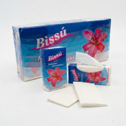 Pañuelo de Bolsillo...