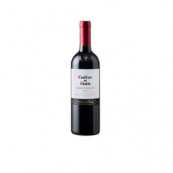 Vino Tinto Cabernet...