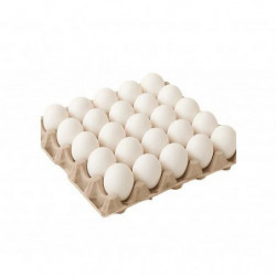 HUEVOS (CARTON 30 UNIDADES)