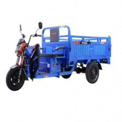 Triciclo Eléctrico TRUCK