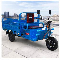 Triciclo Eléctrico TRUCK