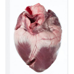 0.94KG-CORAZON DE CERDO